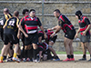 thumb_DSC_6596.jpg
